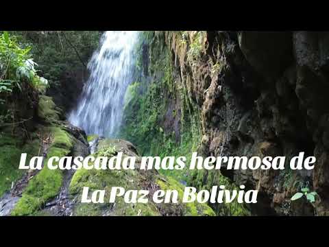 Cascada Siquilini, Chulumani La Paz - Bolivia #turismoboliviano