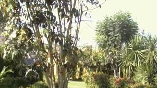 preview picture of video 'Ajijic Real Estate, The Raquet Club, San Juan Cosala, Lake Chapala Real Estate,'