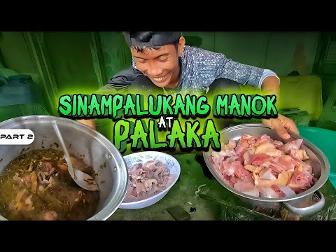 P2-SINAMPALUKANG MANOK AT PALAKA - EP1121