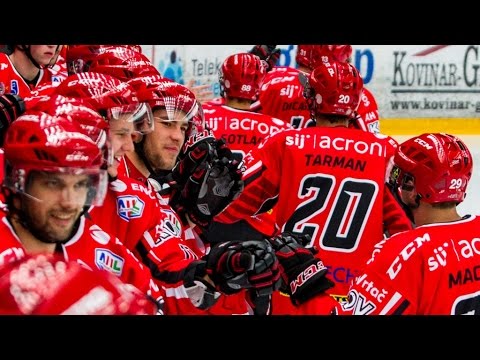 SKY AHL - SIJ Acroni Jesenice : Gardena 8:2