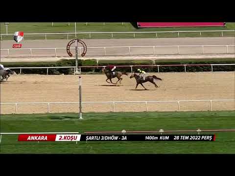 Safkanların Mücadelesi Güne Damgasını Vurdu! CİHANA BEDEL'in performansı dikkat çekti...