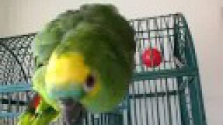 barney doing the wolf whistle #1