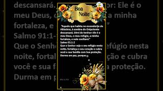 Boa Noite Sob a Proteção do Altíssimo #lindamensagem #boanoite #proteção #paz #fe#vitória #salmo91