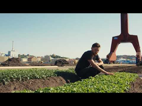 Kajodlingen - AVSNITT 2: Den första sådden