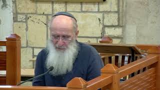 כִּי בְתוֹכֵנוּ ה – בזכות האחדות – שיעור 77 – ספר יהושע פרק כב