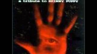 Spahn Ranch - Dig It [Skinny Puppy Cover]