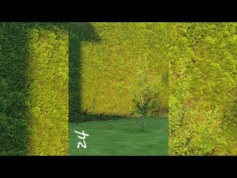 24 (prod. by Narcotics x Pivi)