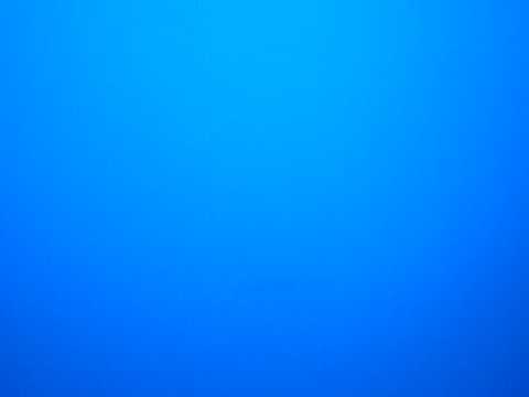 Oceanic white tip shark battles tiger shark