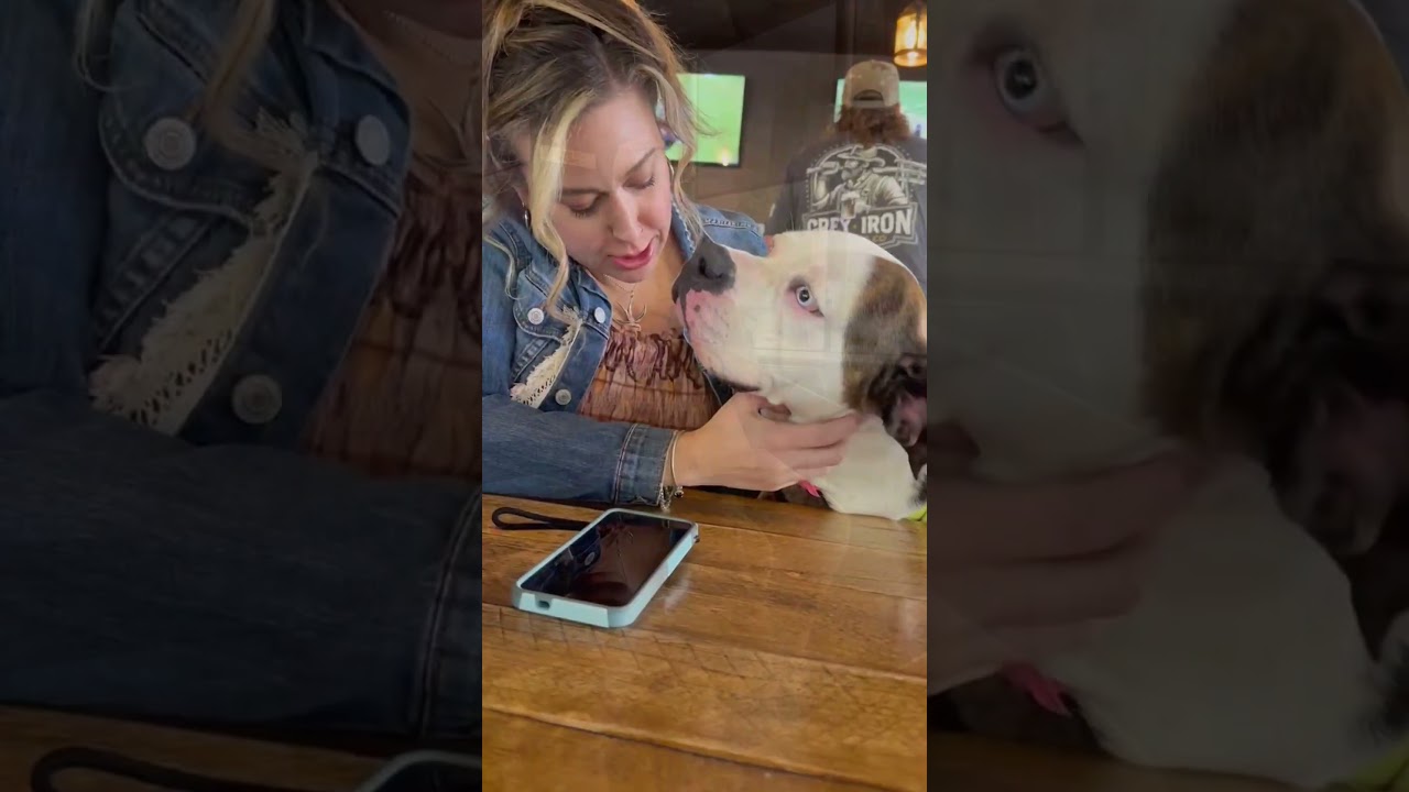 Opal, a ADOPTABLE mixed breed in Murrieta, CA video 3/6