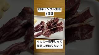【脱ギャンブル生活8日目】イカの一夜干しと梅酒でやる！！最高の晩酌