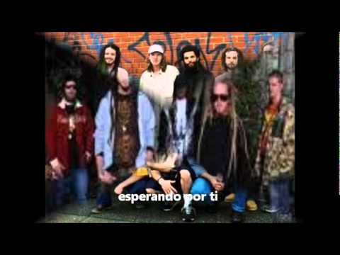 mendoweed’s Video 31914729190 K_aODf6-klA