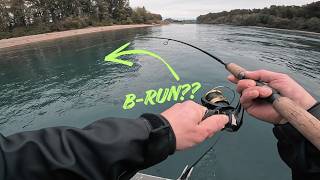 Spinner vs Jig vs Plugs | Washington State River Coho 