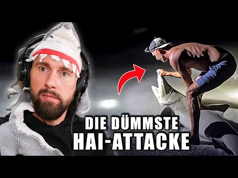 So PROVOZIERT man einen HAIANGRIFF – Dümmster Angriff jemals! | Robert Marc Lehmann reagiert