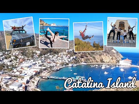 Catalina Hummer Tour and Zip Line