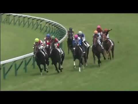 2018.06.24 2yo Newcomer (JPN) - Breaking Dawn