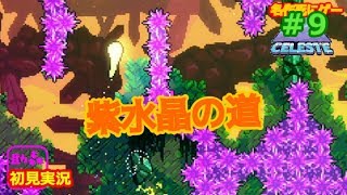 ＃９  森川の【CELESTE ps4】【アクション】