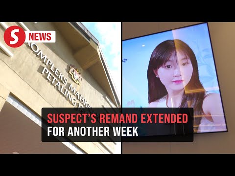 Fatal school stabbing: Suspect's remand extended to Oct 28