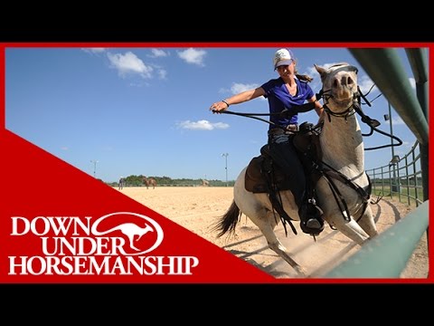 Clinton Anderson: A Day in the Life of an Ambassador Student, Part 4 - Downunder Horsemanship
