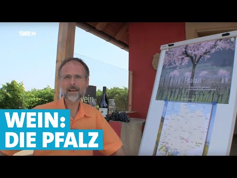 Werner erklärt Wein: Die Pfalz