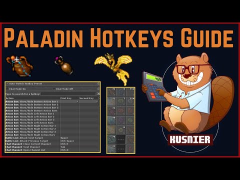 Paladin Hotkeys Guide | Tibia