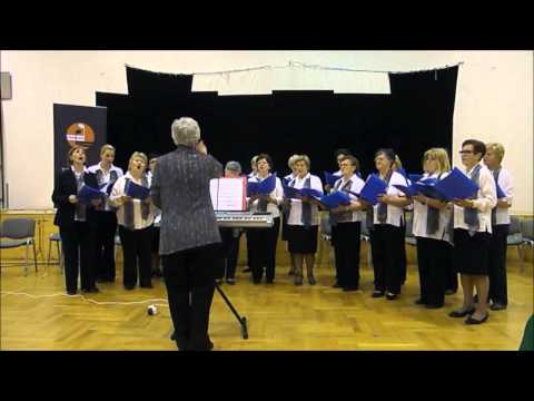 Zagrebački glazbeni podij, DIJELILA SE LAĐA, Ženski pjevački zbor Danica