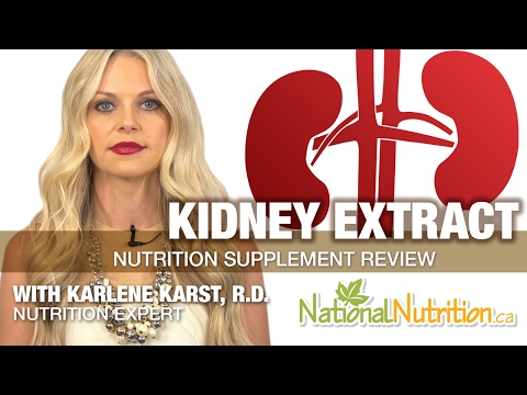 Exploring Kidney Extract Uses & Benefits