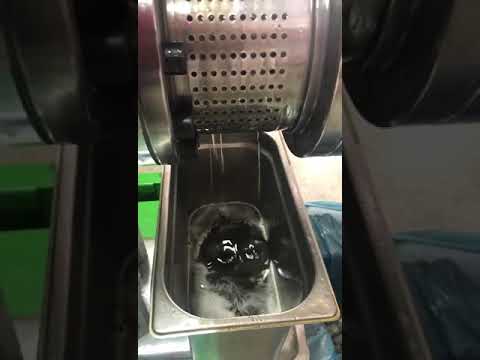 NF 2000 ay çekirdek yağı/Sonnenblumenölmaschine/sunflower seed oil machine/cold press oil machine