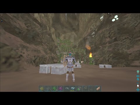 MTS Beginners Day 1 - Claiming Bear Cave