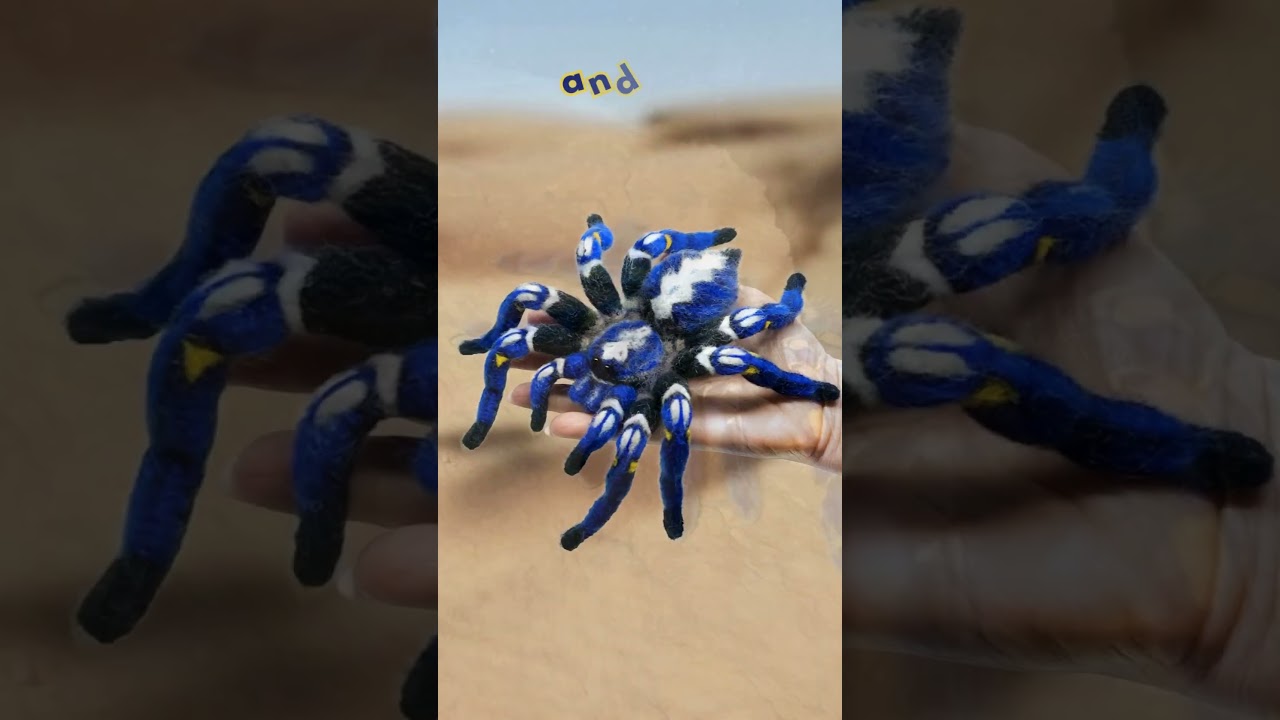Crochet super realistic tarantula. Detailed pattern.