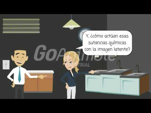 ᐅ Mejor Cuarto oscuro y procesamiento (2019) ⇒ Comparativa & Guía ... ᐅ Mejor Cuarto oscuro y procesamiento (2019) ⇒ Comparativa & Guía ...