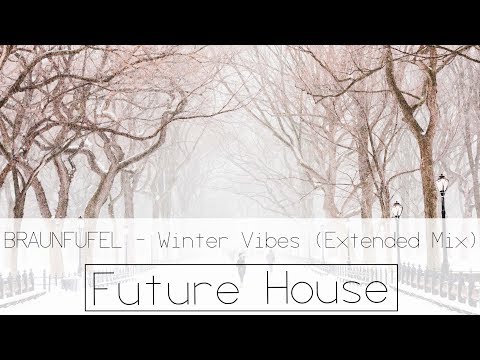 BRAUNFUFEL - Winter Vibes (Extended Mix)