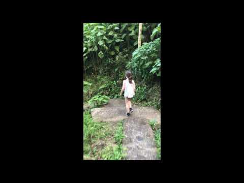 El Yunque, Puerto Rico (Slentz Family 2018.11.21)