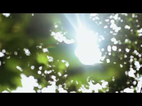 🎹 Playlist | Yiruma The Best Reminiscent 10th Anniversary Ver. Re-Recorded | 이루마 베스트 앨범 10주년 버전