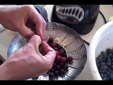 Pioneer Fruit Leather