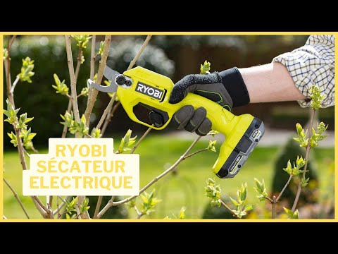 Test Sécateur Électrique Ryobi 18V : Mon Avis Complet