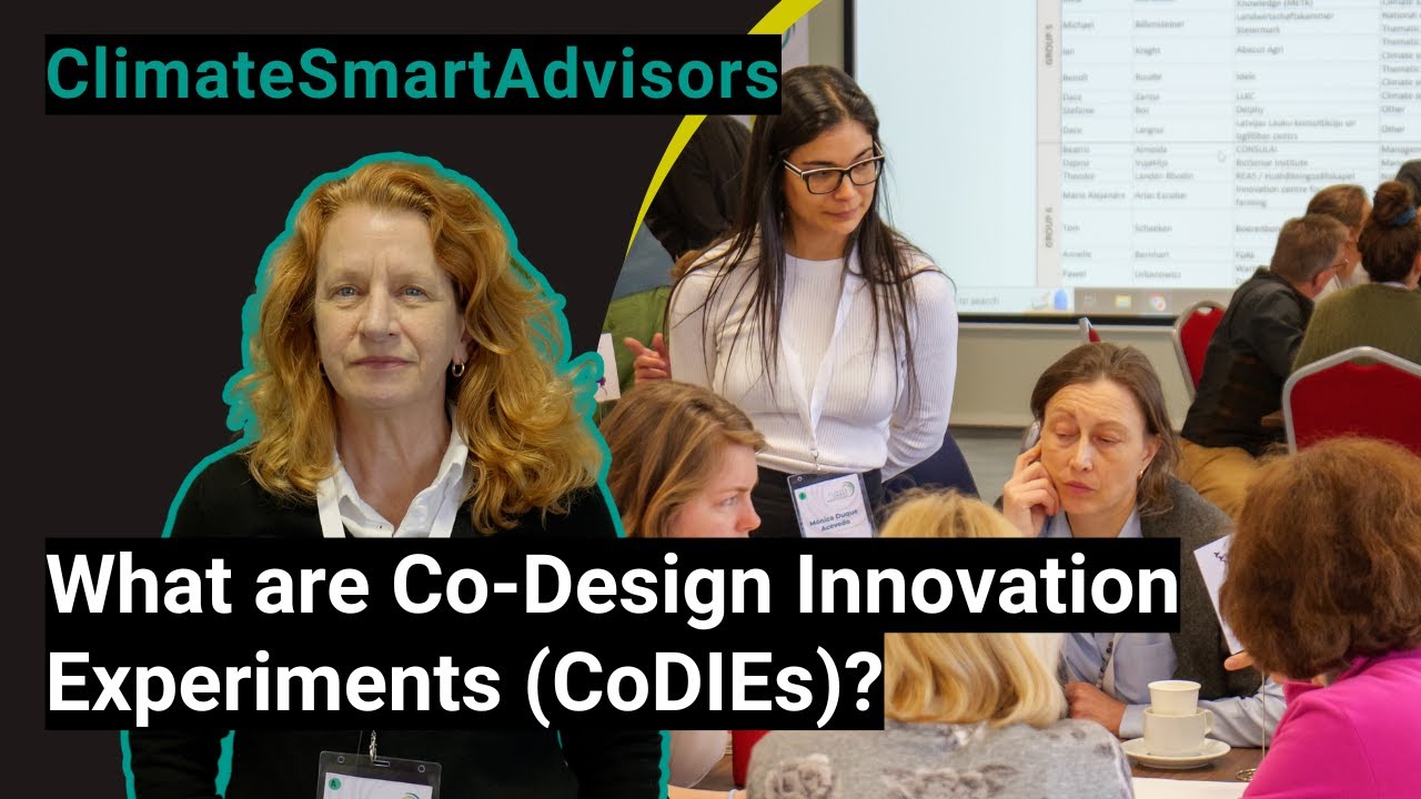 Cynthia Giagnocavo: What are Co-Design Innovation Experiments (CoDIEs)?