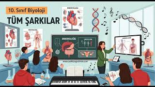 10. Sınıf Biyoloji Tüm Şarkılar V2