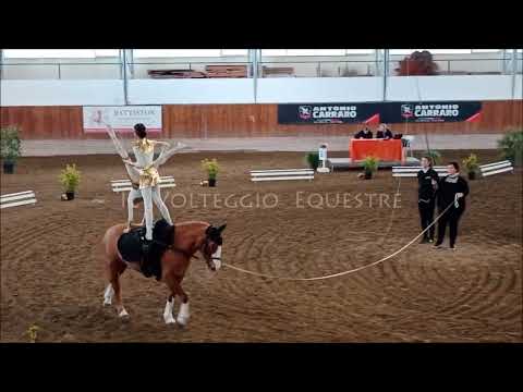 CVN Volteggio 2024 - pdd D over 13 - 1° Ippogrifo
