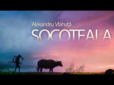 Alexandru Vlahuta - Socoteala