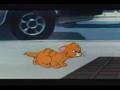 Oliver Company Why Should I Worry Hebrew