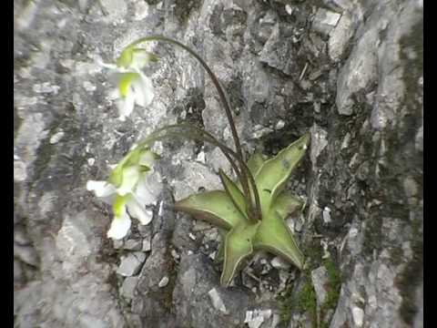 Ausflug in die Trögener Klamm