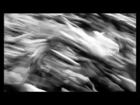 LINEA77 ft. SUBSONICA - 66 (Diabolus in musica)
