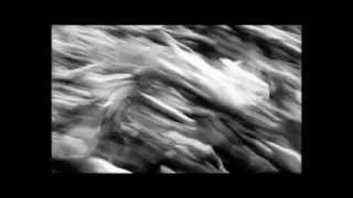 LINEA77 ft. SUBSONICA - 66 (Diabolus in musica)