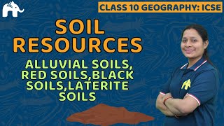 Soil Resources Class 10 ICSE Geography | Selina Chapter 5 | Alluvial , Red ,Black ,Laterite Soils