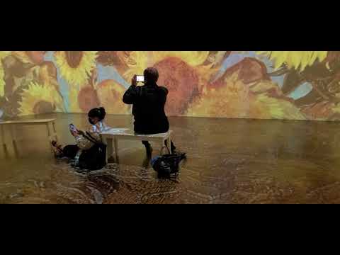 Van Gogh - słoneczniki