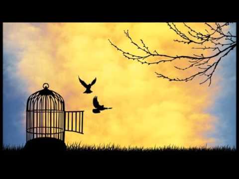 SANTA MARADONA F.C. FEAT. LUCY SPRAGGAN - Give Me Sunshine