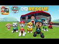 Game Paw Patrol Pups To The Rescue