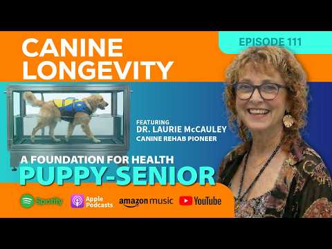 Canine Longevity-How Puppyhood Shapes Lifelong Health