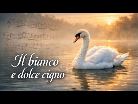 Il bianco e dolce cigno - Jacques Arcadelt
