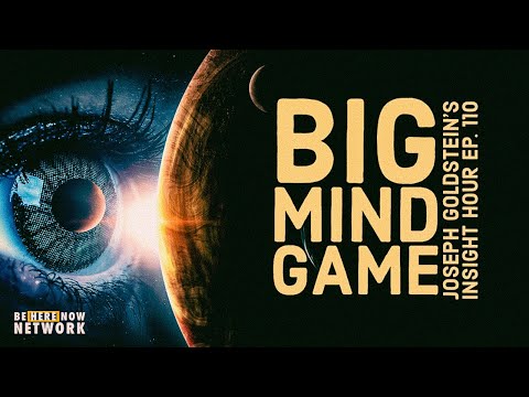 Joseph Goldstein's Insight Hour Ep. 110: Big Mind Game